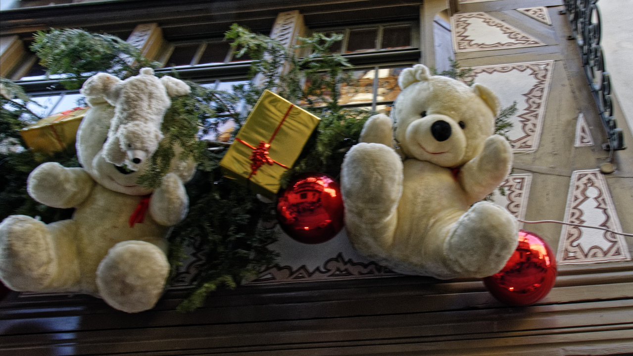 20151224 124242•Strasbourg•Alsace•France